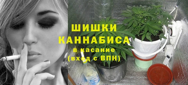 прущие грибы Данков