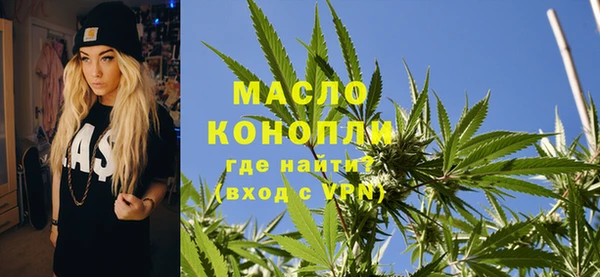 тгк Дегтярск