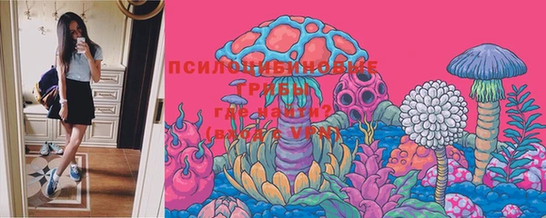 тгк Дегтярск