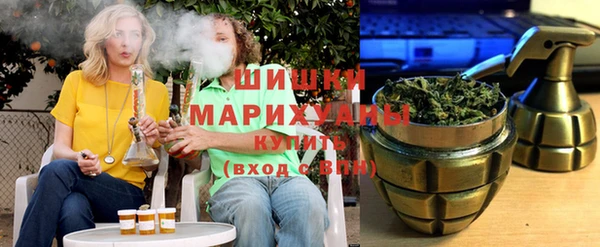 гидра Надым
