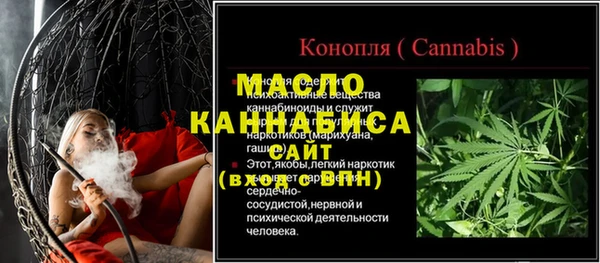 гидра Надым