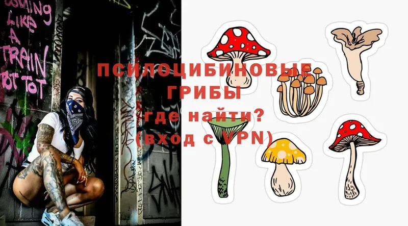 гидра как войти  Касли  Псилоцибиновые грибы Psilocybine cubensis 