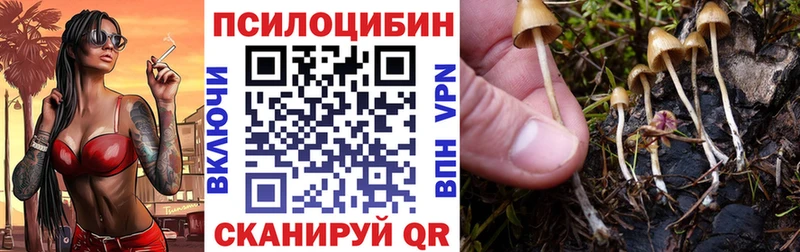 Псилоцибиновые грибы Cubensis  Касли 
